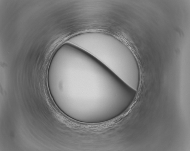 X0000090960001200708021131