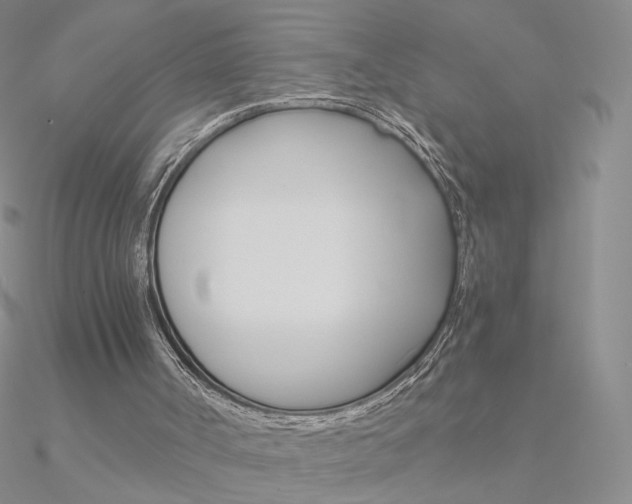 X0000090960002200708021131
