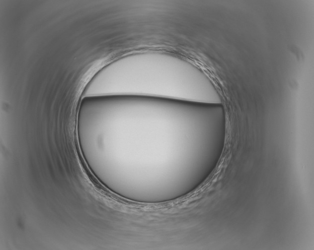 X0000090960003200708021131
