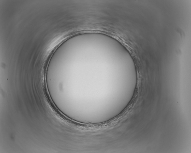 X0000090960005200708021131
