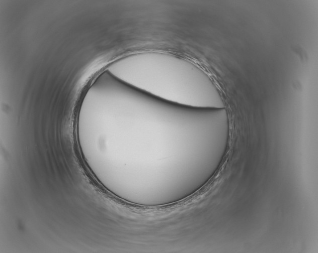 X0000090960006200708021131