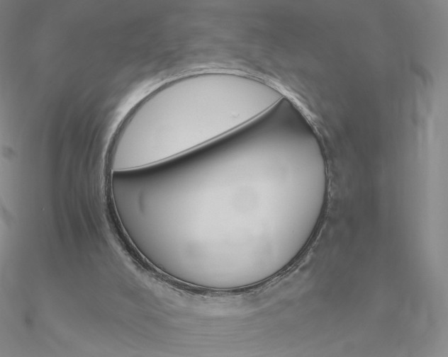 X0000090960008200708021131