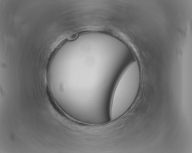 X0000090960011200708021131