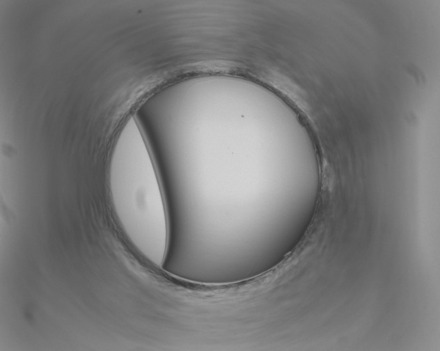 X0000090960013200708021131