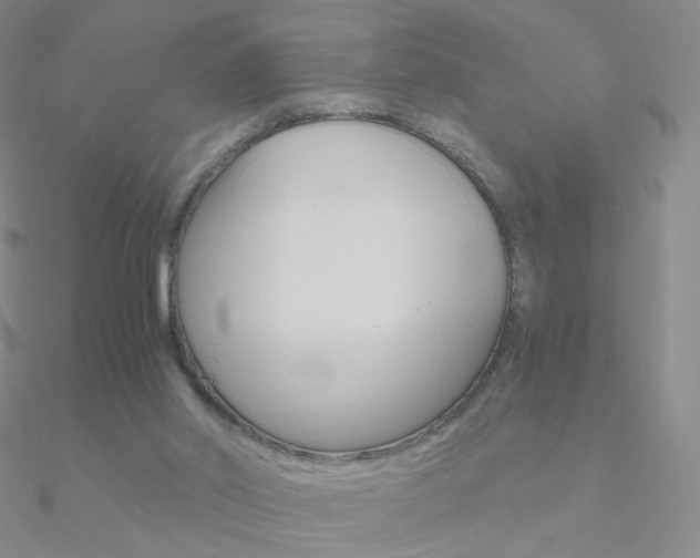 X0000090960014200708021131