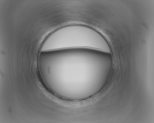 X0000090960015200708021131