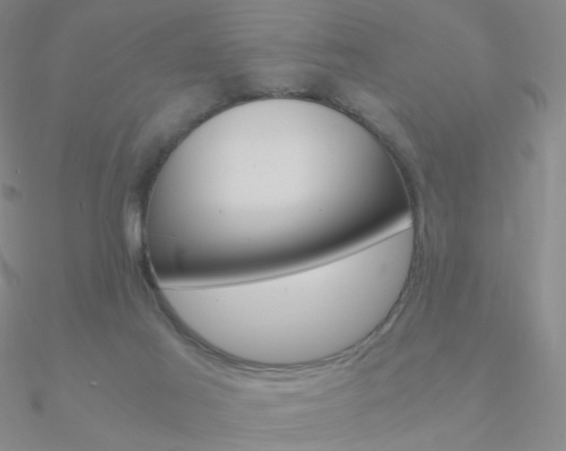 X0000090960021200708021131