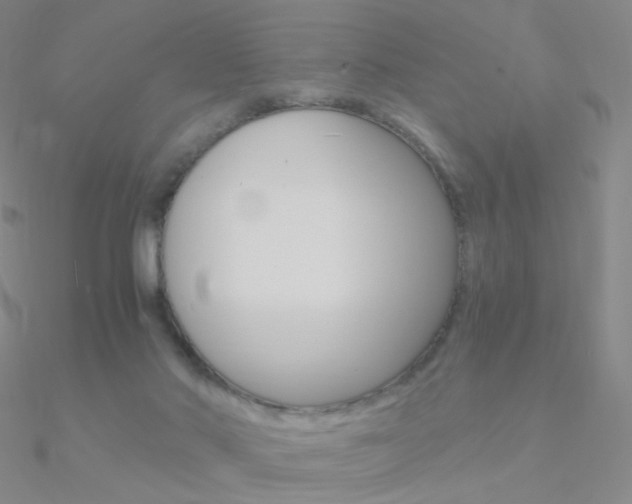 X0000090960022200708021131