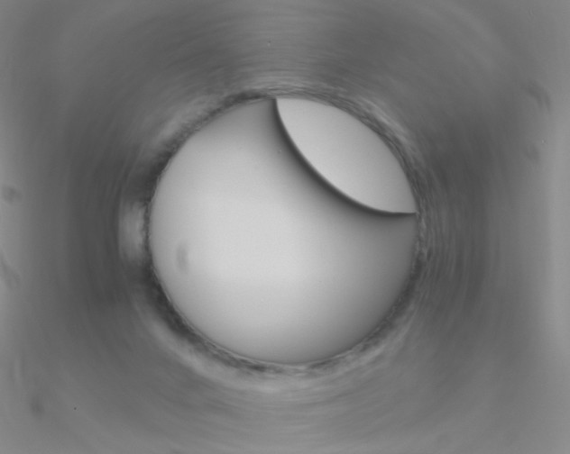 X0000090960024200708021131