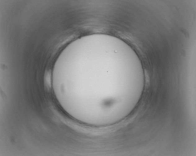 X0000090960028200708021131