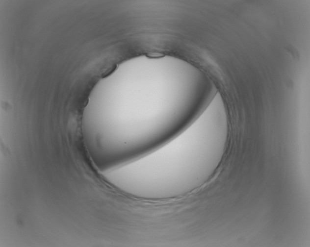 X0000090960029200708021130
