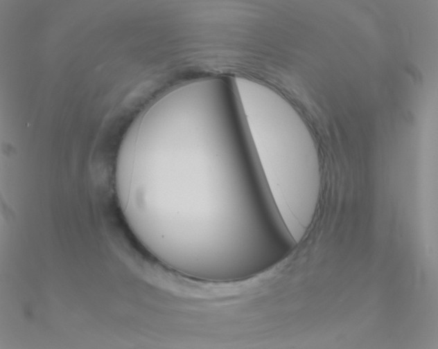 X0000090960031200708021130