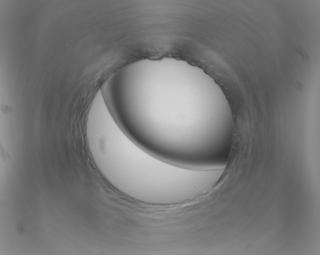 X0000090960037200708021130