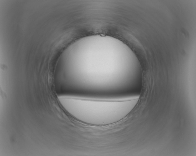 X0000090960039200708021130