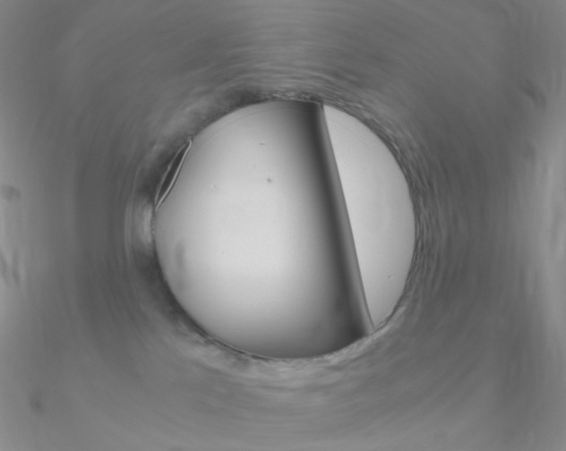 X0000090960041200708021130