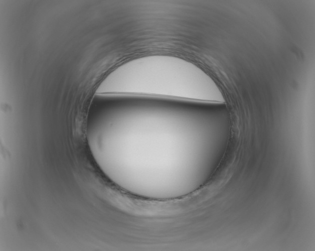 X0000090960044200708021130