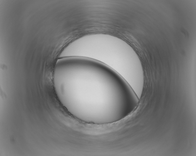 X0000090960045200708021130