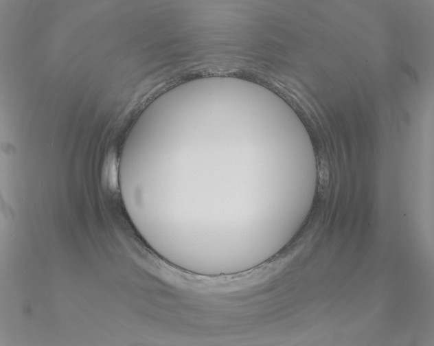 X0000090960046200708021130
