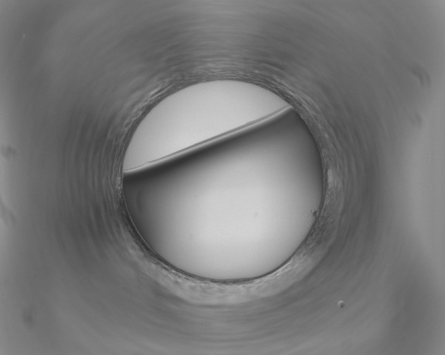 X0000090960048200708021130
