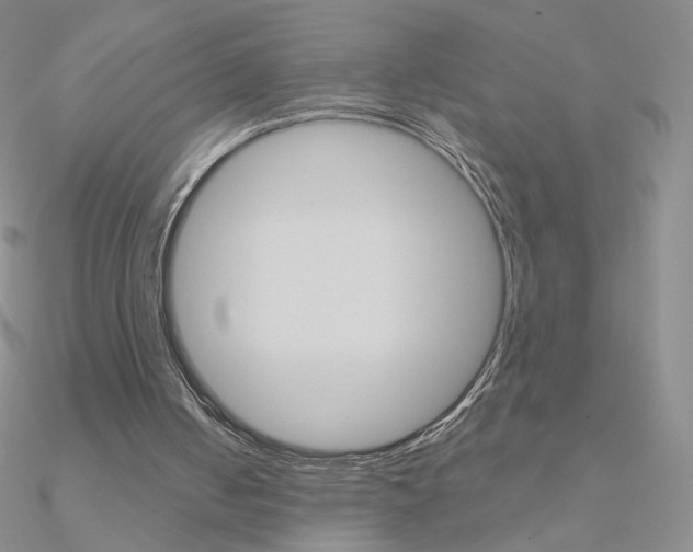 X0000090960050200708021130