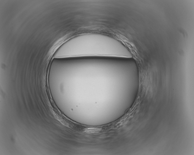 X0000090960051200708021130