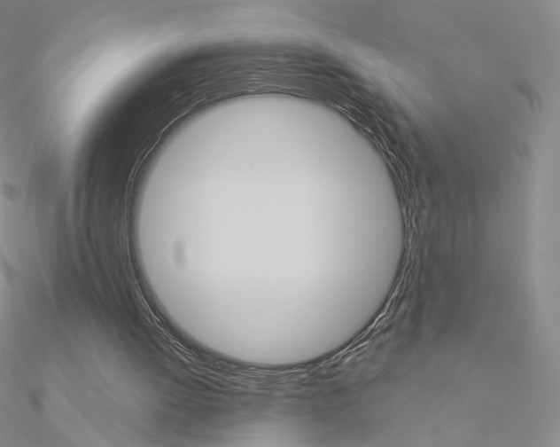 X0000090960052200708021130
