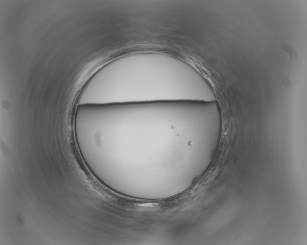 X0000090960053200708021130