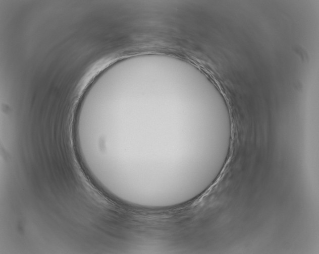 X0000090960054200708021130