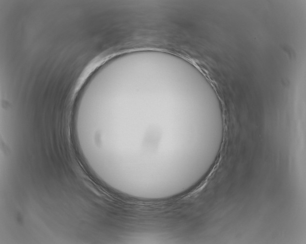 X0000090960056200708021130