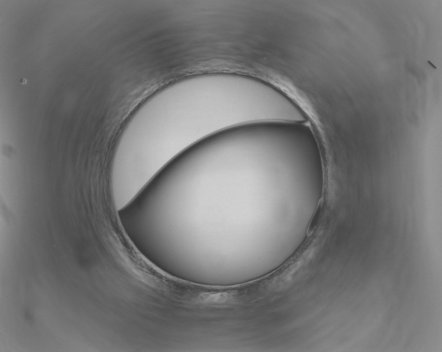 X0000090960057200708021130