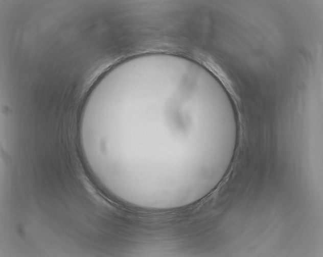 X0000090960058200708021130