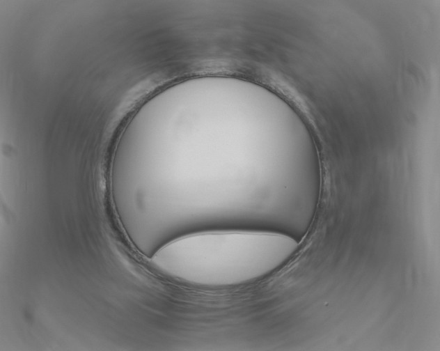 X0000090960059200708021130