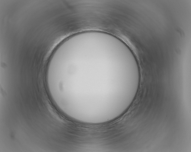 X0000090960060200708021130
