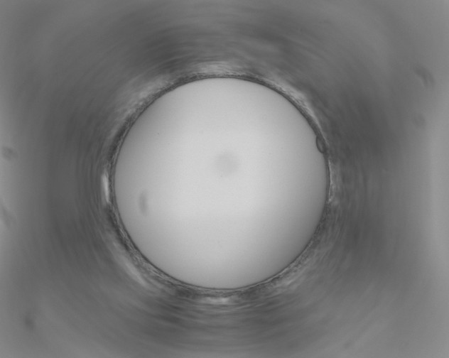 X0000090960061200708021130