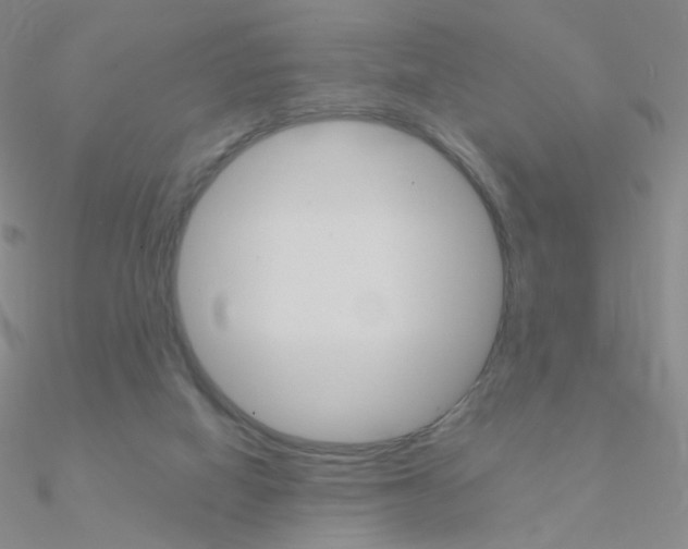 X0000090960066200708021130