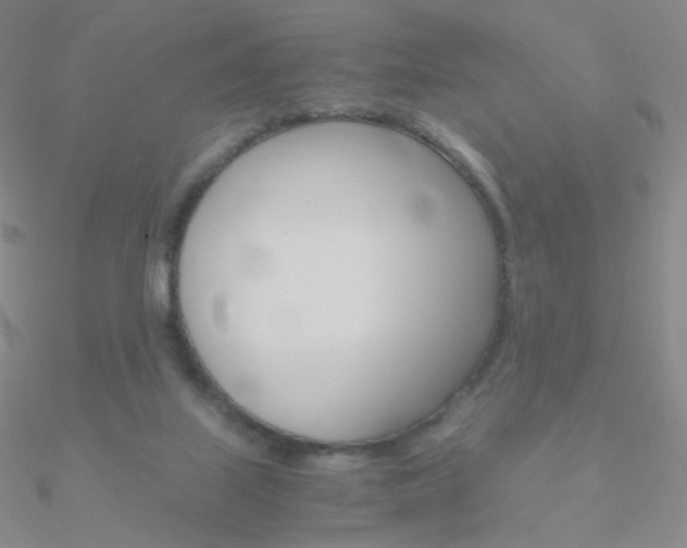 X0000090960067200708021130