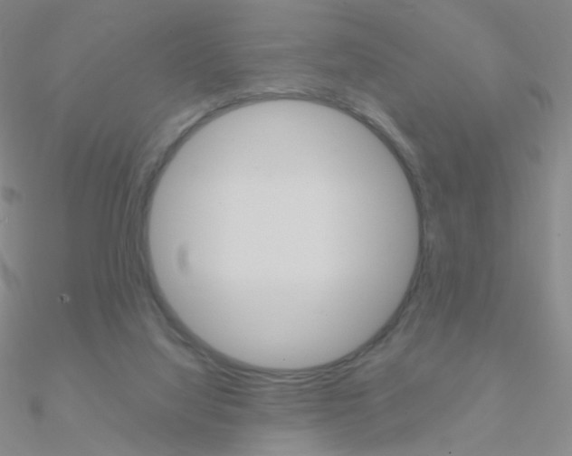 X0000090960068200708021130