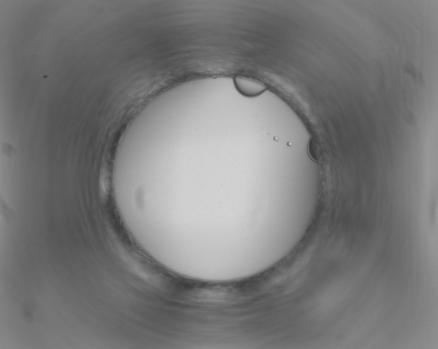 X0000090960069200708021130