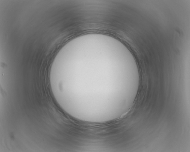 X0000090960074200708021130
