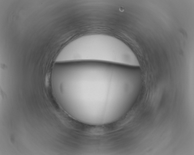X0000090960075200708021130
