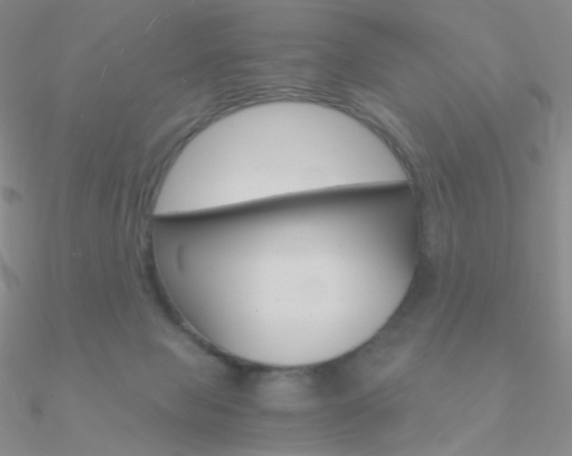 X0000090960077200708021130