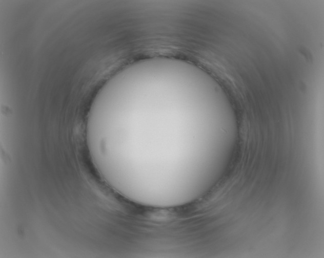 X0000090960079200708021130