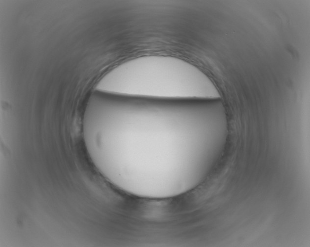 X0000090960081200708021130