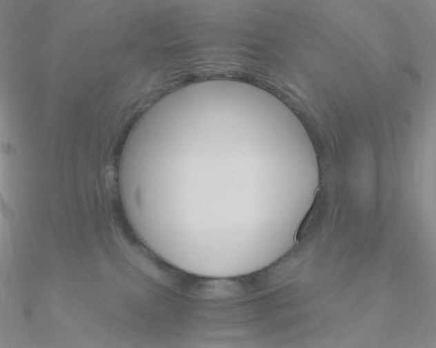 X0000090960087200708021130