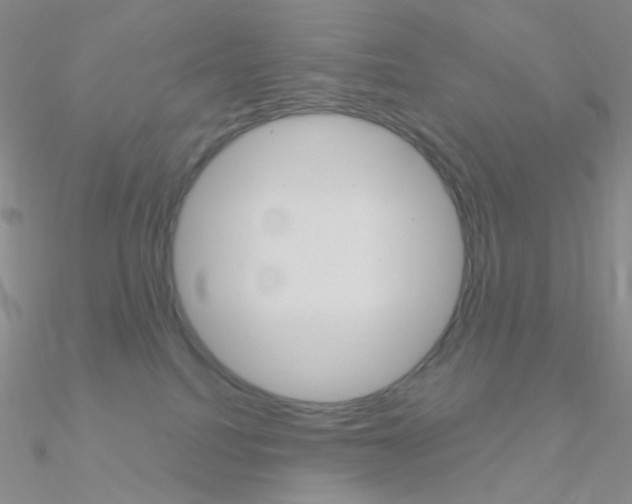 X0000090960088200708021130
