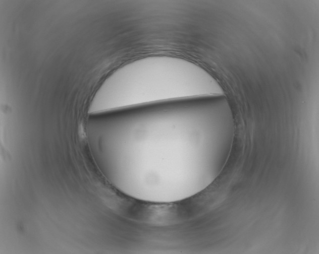 X0000090960089200708021130