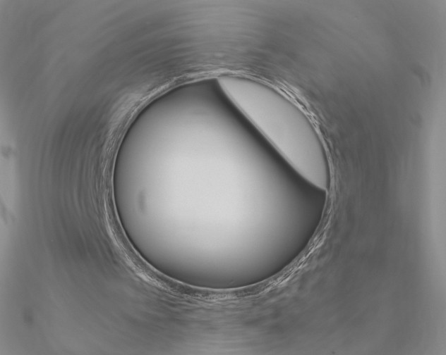 X0000090960097200708021130