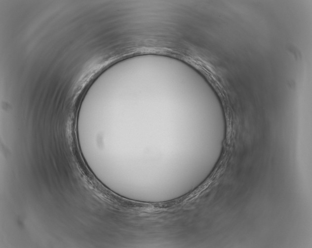 X0000090960098200708021130
