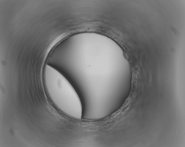 X0000090960100200708021130