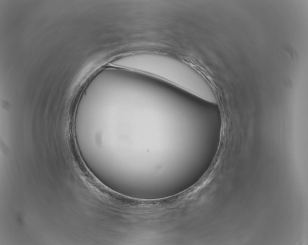 X0000090960101200708021130